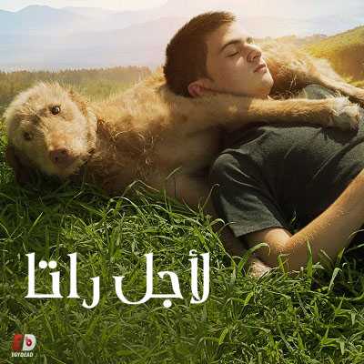 فيلم Seventeen 2019 مترجم