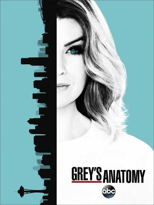مسلسل Greys Anatomy الموسم 13 الحلقة 24
